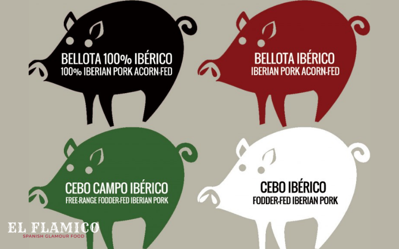 Giải mã những tag màu trên đùi heo muối Iberico