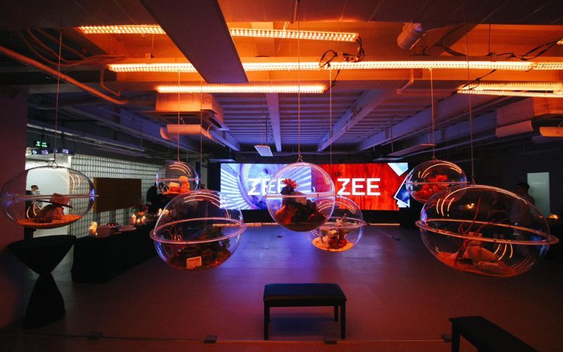 ZEE Agency - Kỷ niệm 7 năm thành lập và phát triển