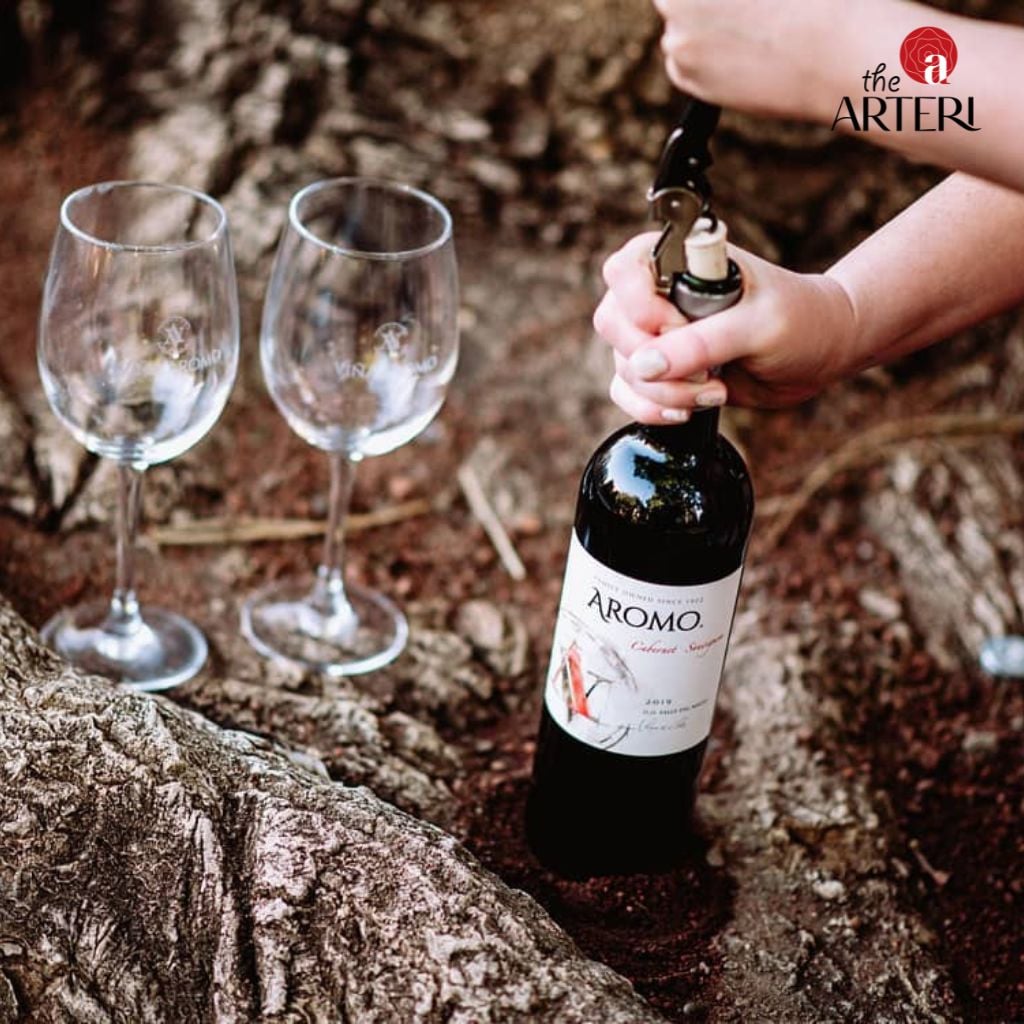 Thiết kế chai tối giản, gọn g&agrave;ng th&iacute;ch hợp mang đi mu&ocirc;n nơi.