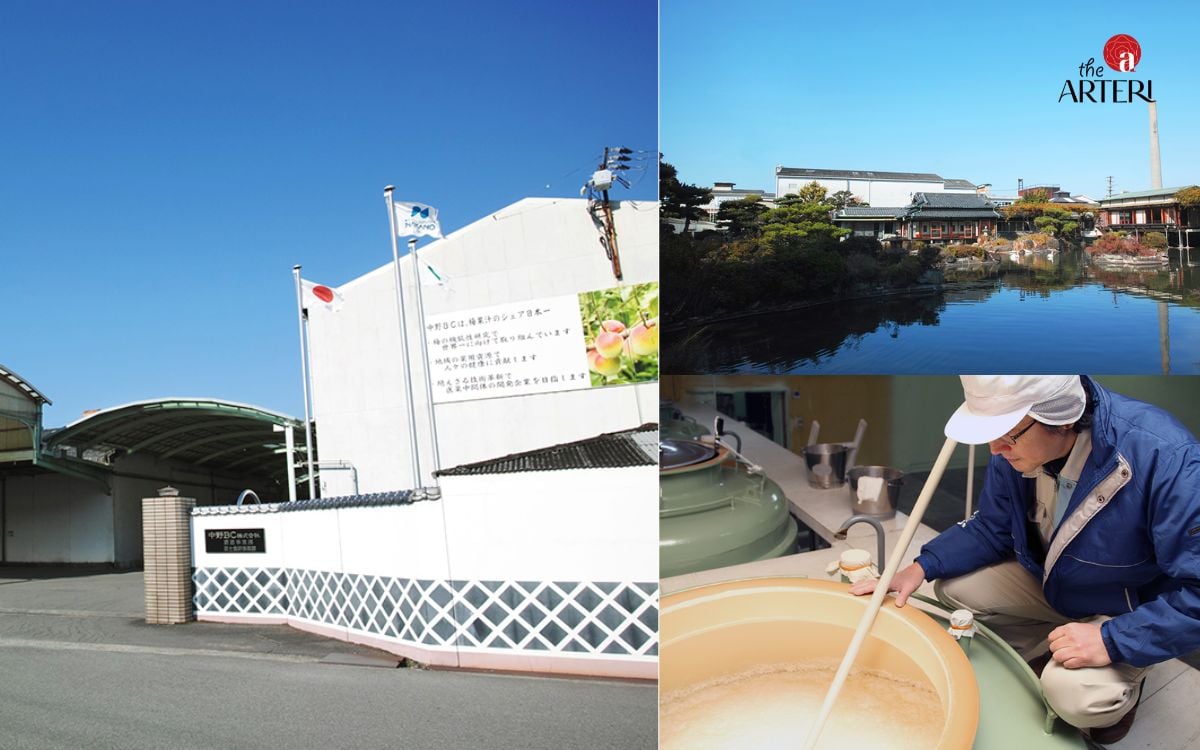Nakano BC - một trong những nhà sản xuất rượu mơ quy mô lớn nhất Wakayama