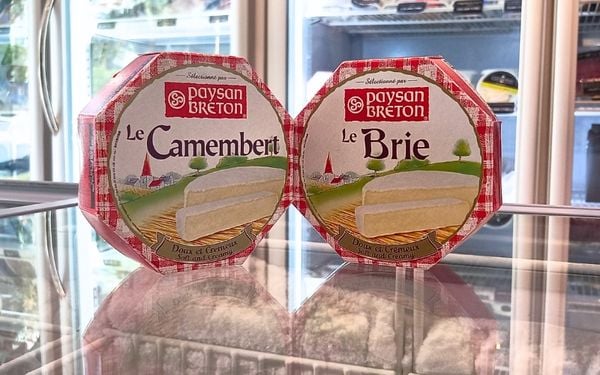 pho-mai-Brie-va-Camembert