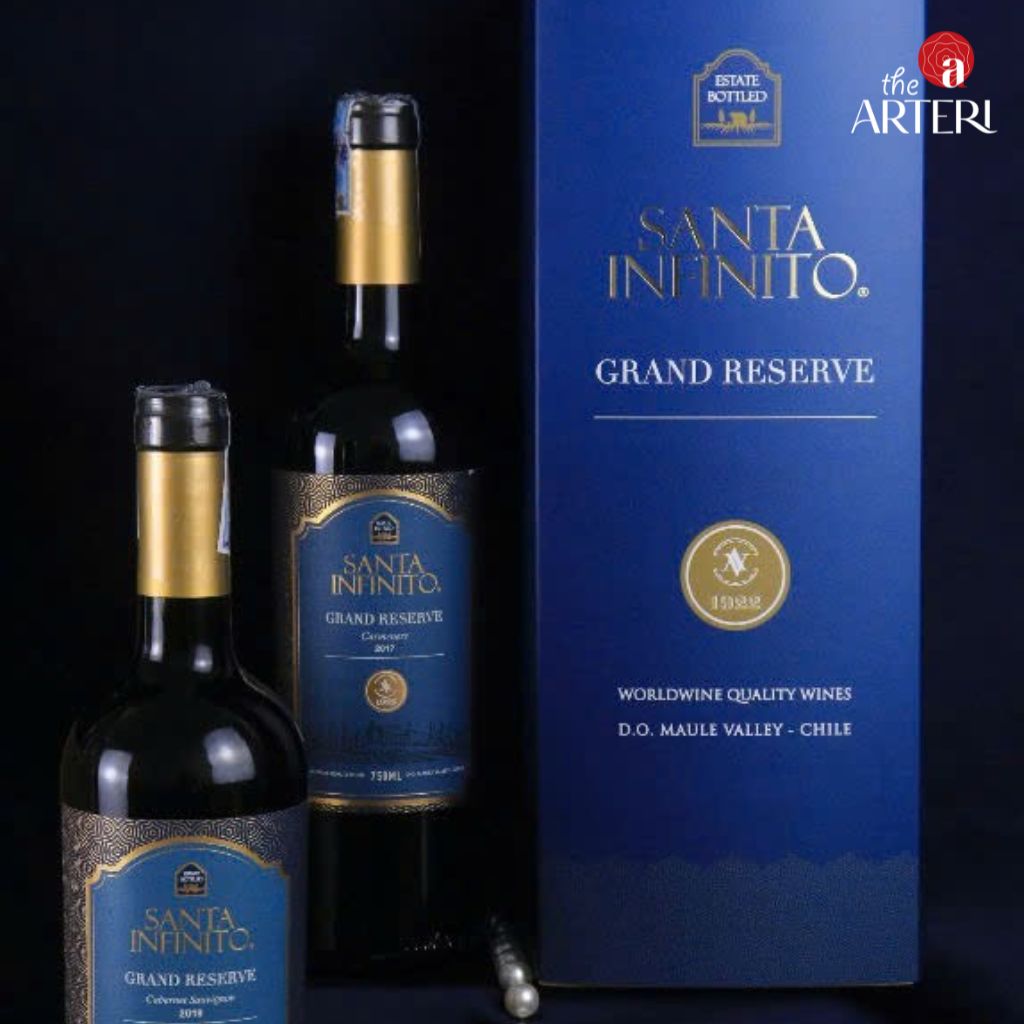 Rượu vang Santa Infinito Grand Reserve Carmenere tại TheARTERI