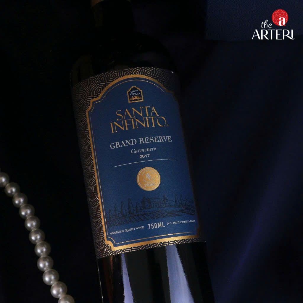 Rượu vang Santa Infinito Grand Reserve Carmenere tại TheARTERI