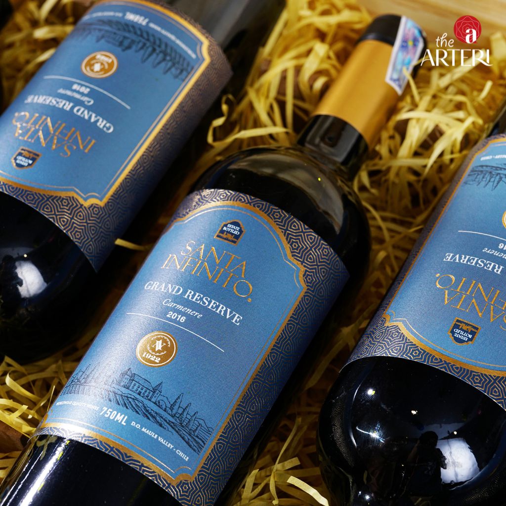 Rượu vang Santa Infinito Grand Reserve Carmenere tại TheARTERI