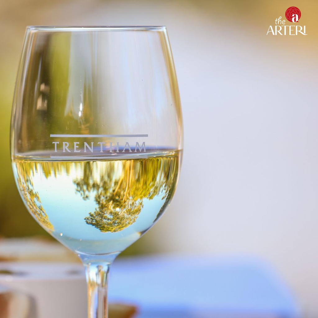 Rượu vang River Retreat Sauvignon Blanc tại TheARTERI
