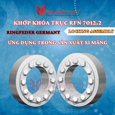 KHỚP KHÓA TRỤC RFN 7012.2 RINGFEDER-GERMANY (LOCKING ASSEMBLY) ỨNG DỤN