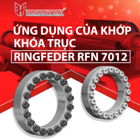 ỨNG DỤNG CỦA KHỚP KHÓA TRỤC RINGFEDER RFN 7012 (LOCKING ASSEMBLY)