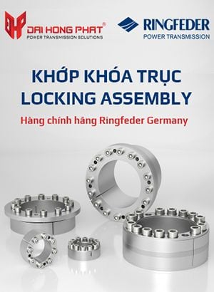 Khớp khóa trục Ringfeder Đại Hồng Phát