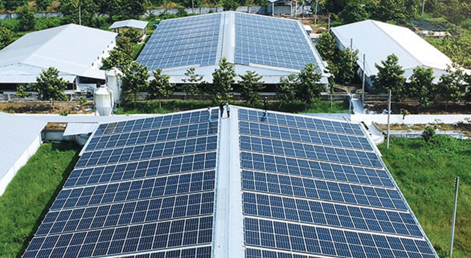 Dự án điện mặt trời trang trại chăn nuôi tại Ninh Thuận