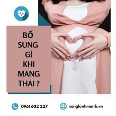 Bổ Sung Gì Khi Mang Thai để Đảm Bảo Sức Khỏe Tối Ưu Cho Mẹ Và Bé?