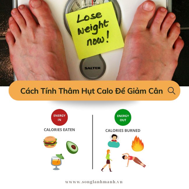 Cách Tính Thâm Hụt Calo Để Giảm Cân: Bí Quyết Có Một Hình Thể Cân Đối –  SongLanhManh.vn