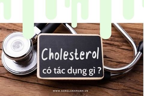 Cholesterol Có Tác Dụng Gì Và Chúng Có Lợi Hay Có Hại?