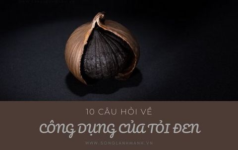 10 Câu Hỏi Về Công Dụng Của Tỏi Đen Có Thể Bạn Chưa Biết!