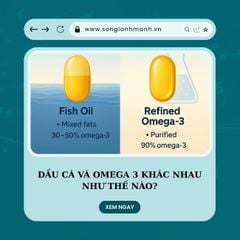Dầu Cá và Omega 3 Khác Nhau Như Thế Nào? 99% Người Dùng Đang Hiểu Sai!