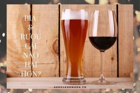 Bia Và Rượu Khác Nhau Thế Nào Và Cái Nào Hại Hơn?