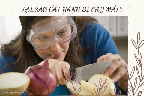 Tại Sao Cắt Hành Bị Cay Mắt Và Mẹo Hay Dành Cho Các Chị Em Nội Trợ!