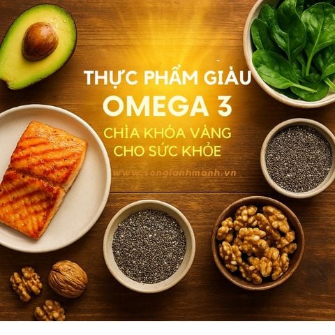 Thực Phẩm Giàu Omega 3: Chìa Khóa Vàng Cho Sức Khỏe