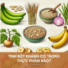 Top 5 Thực Phẩm Giàu Tinh Bột Kháng Bạn Cần Biết Để Cải Thiện Sức Khỏe