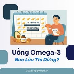 Uống Omega 3 Bao Lâu Thì Dừng Là Tốt Nhất Cho Sức Khỏe?