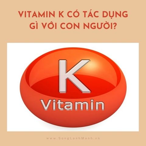 Vitamin K Có Tác Dụng Gì Với Con Người?