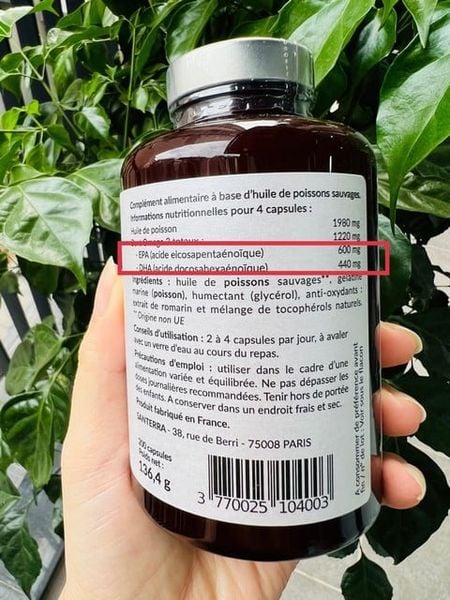 dầu cá và omega 3 khác nhau như thế nào