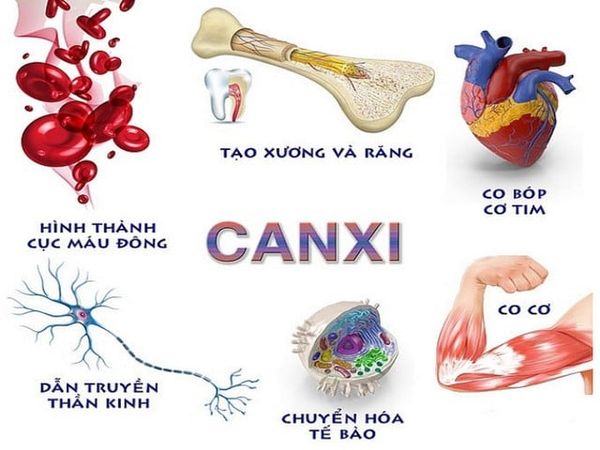 Bổ sung canxi đúng cách