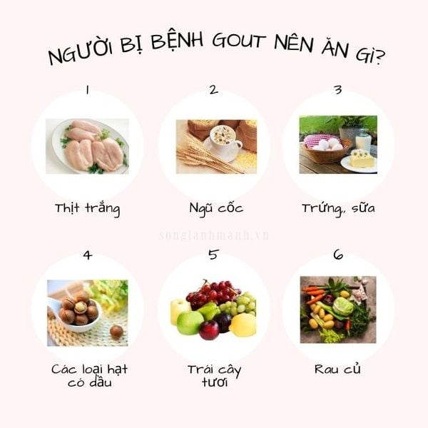 Chế độ ăn cho người bị gout