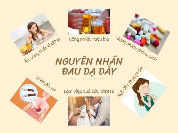 đau dạ dày nên ăn gì và không nên ăn gì