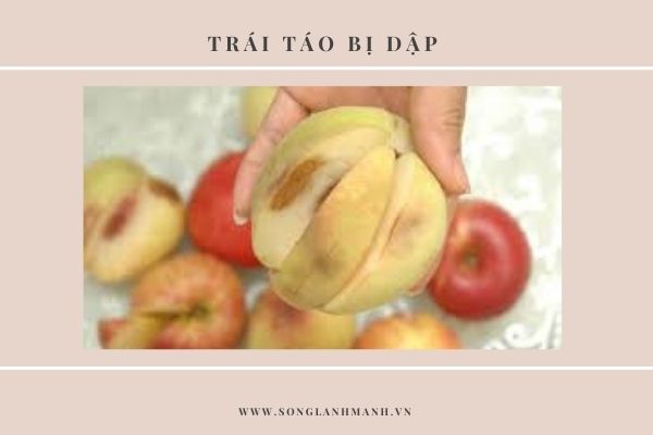 Hướng Dẫn Cách Chọn Rau Củ Quả Tươi Ngon, An Toàn_2