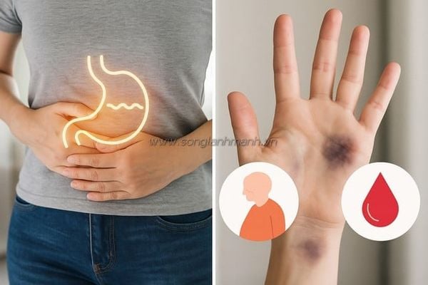 Omega 3 cho người lớn tuổi
