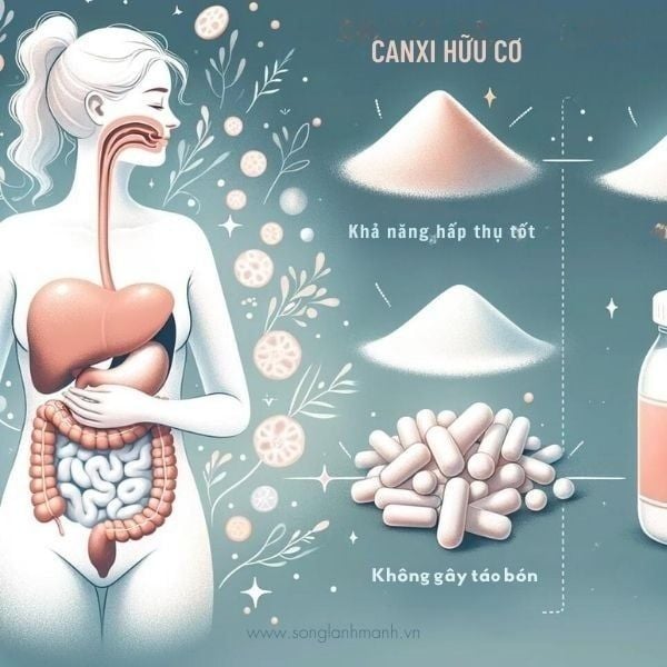 phân biệt canxi hữu cơ và vô cơ