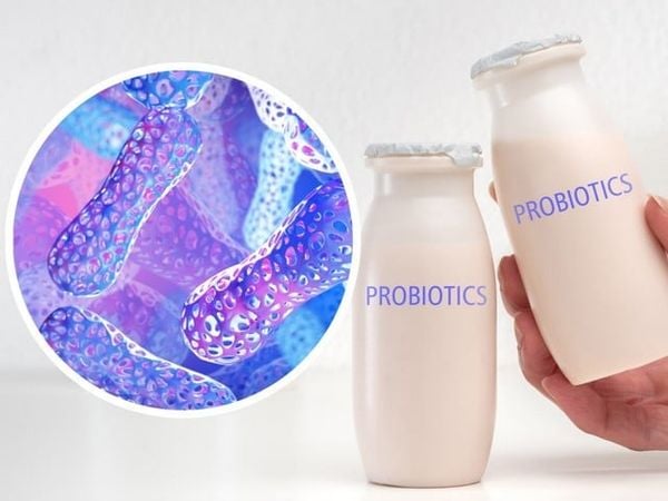 probiotic có trong thực phẩm nào