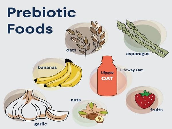 probiotic có trong thực phẩm nào