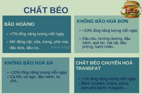 Rối loạn mỡ máu kiêng ăn gì