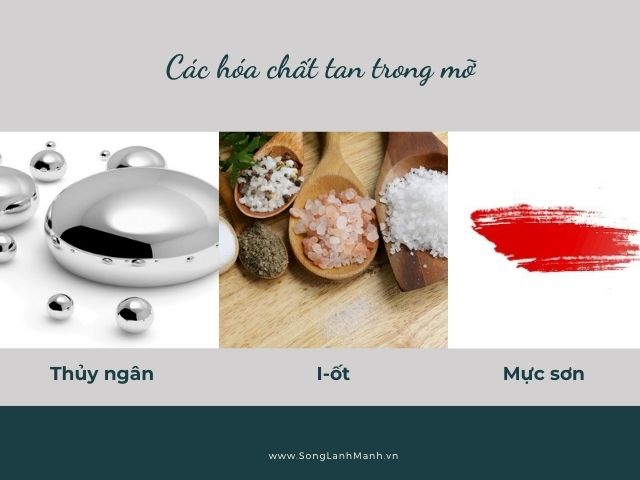 Tại Sao Phải Thải Độc Cơ Thể Trong Khi Cơ Thể Đã Tự Làm Điều Đó!_3