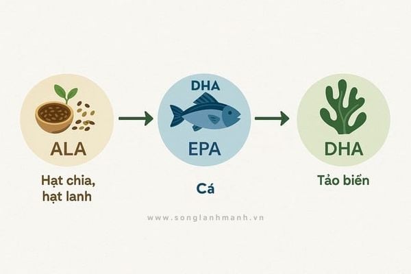 uống omega 3 bao lâu thì dừng?
