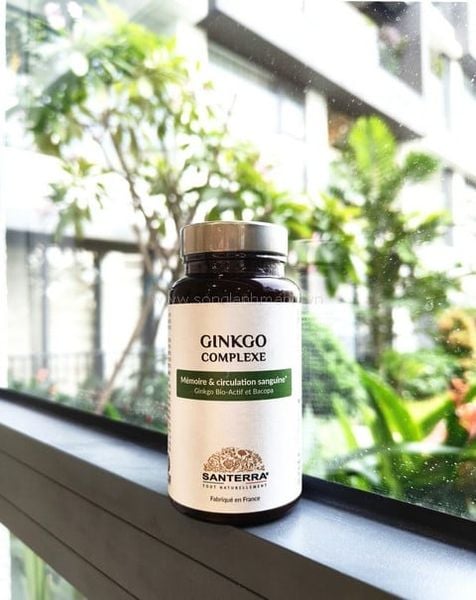 Viên uống bổ não ginkgo Pháp