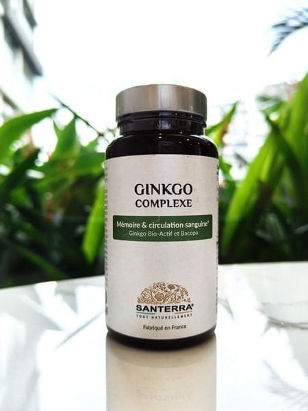 Viên uống bổ não ginkgo Pháp