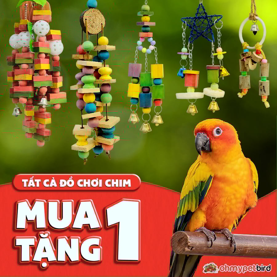 ĐỒ CHƠI CHIM MUA 1 TẶNG 1