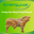 ENERGYVAL - GIẢI PHÁP TỐI ƯU HẤP THỤ NĂNG LƯỢNG TRONG NUÔI VỖ BÉO BÒ THỊT