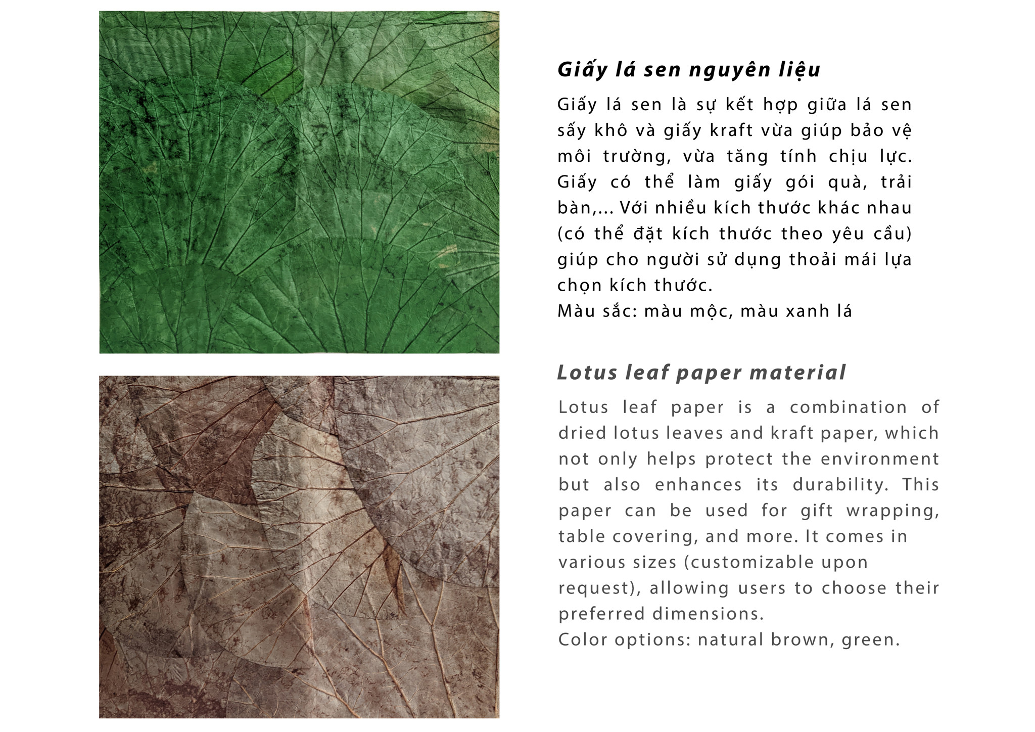 🌿 Ecolotus Lotus Leaf Paper - Nature's Beauty in Every Sheet! 🎁