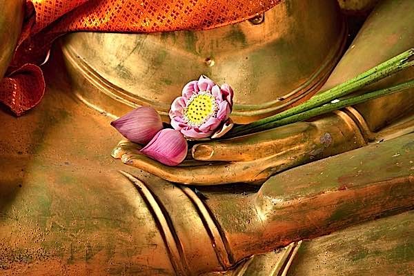 Biểu tượng hoa sen trong Phật giáo