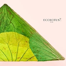 ECOLOTUS - NÓN LÁ SEN VÀ HOA SEN SẤY KHÔ | OCOP ĐỒNG THÁP| THDT