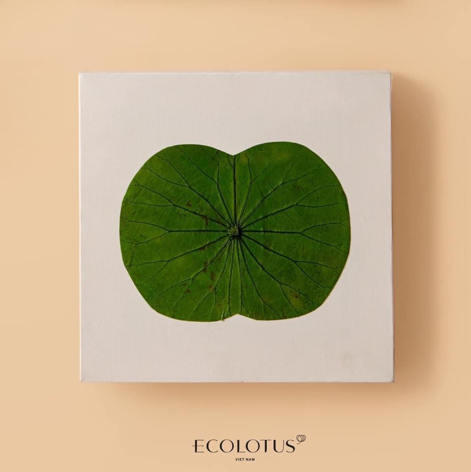 ECOLOTUS - Ý NGHĨA VÀ CÁC MẪU TRANH TREO TƯỜNG HOA SEN HIỆN ĐẠI