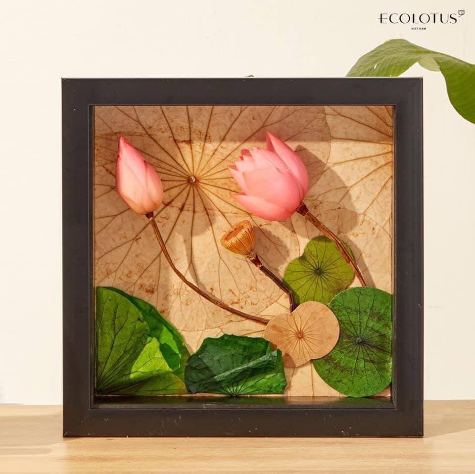 ECOLOTUS - Ý NGHĨA TẶNG QUÀ HOA SEN TRONG VĂN HÓA VIỆT