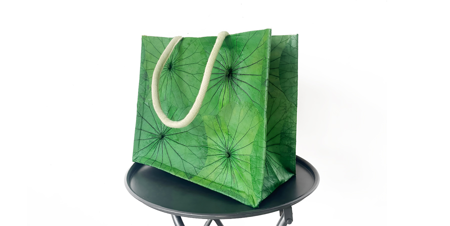 New Ecolotus Muji bag