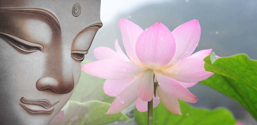 Ý nghĩa của hoa sen trong Phật giáo