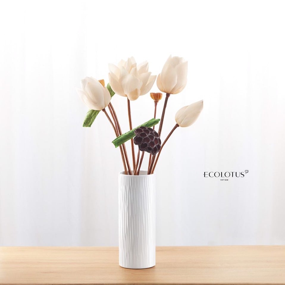 ECOLOTUS - SỐNG XANH - GIỚI TRẺ VIỆT ĐANG BIẾN KHẨU HIỆU THÀNH HÀNH ĐỘNG