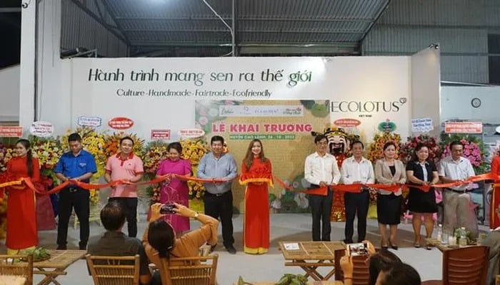 Ecolotus khai trương showroom giới thiệu sản phẩm sen tại huyện Cao Lãnh