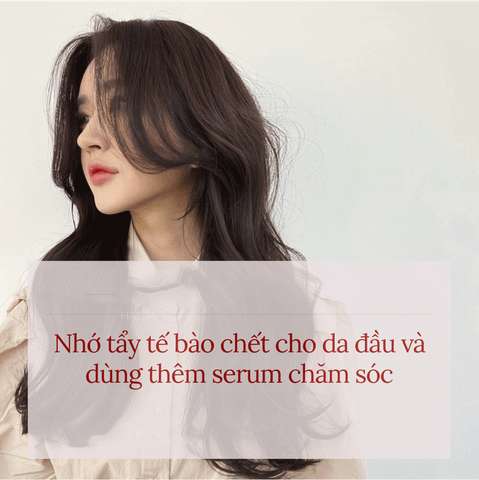 4 BƯỚC PHỤC HỒI TÓC TẠI NHÀ LÀM ĐỦ TÓC DÀY MƯỢT LÊN TRÔNG THẤY